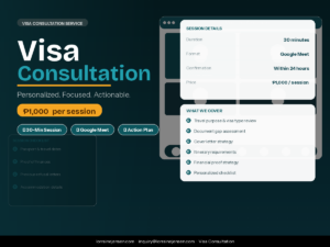 visa consultation